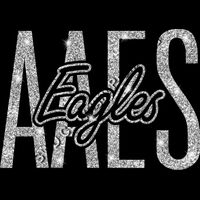 GLT95 SILVER GLITTER Thumbnail